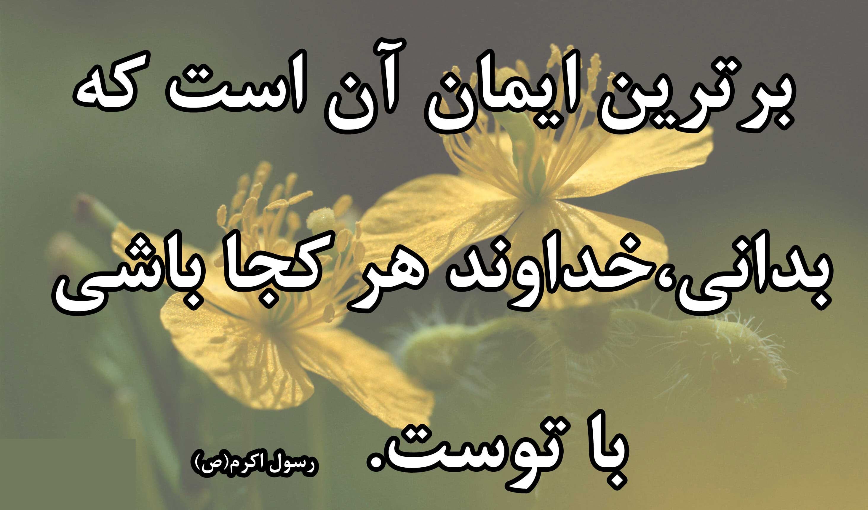 سخن روز